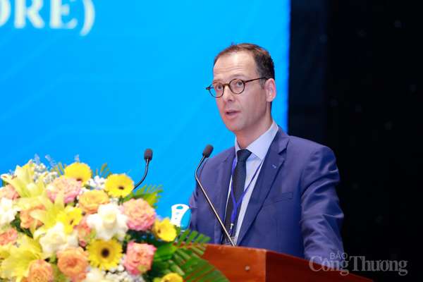 Tập đoàn nước ngoài đề nghị Bình Định hỗ trợ thủ tục đầu tư các dự án điện gió