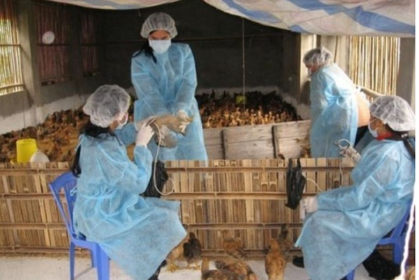 Tin nóng y tế: Việt Nam xuất hiện ca mắc cúm A (H9) đầu tiên