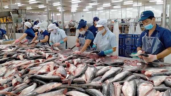 Xuất khẩu tuần từ 1-7/4: Cá ngừ được xuất khẩu sang 80 thị trường; xuất khẩu hạt điều tăng vọt