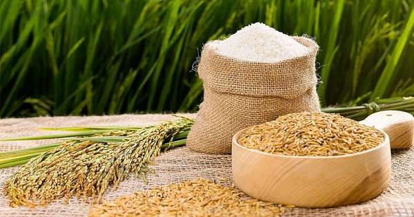 Thêm 2 loại gạo được hưởng ưu đãi thuế quan khi xuất khẩu vào EU: Gia tăng cơ hội tận dụng EVFTA