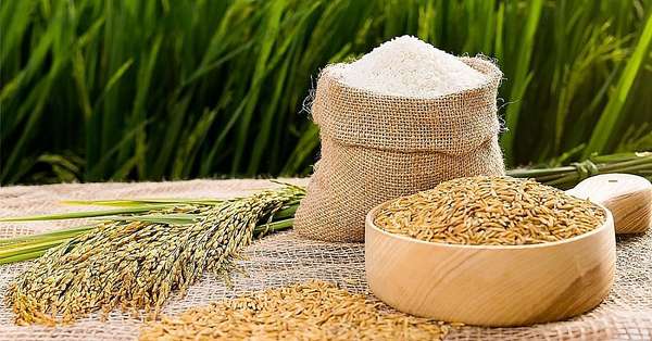 Giá lúa gạo hôm nay 25/5: Giá gạo giảm 200 đồng, giá lúa biến động