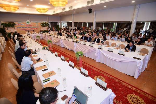 Phát triển thị trường tín chỉ carbon mang lại cơ hội lớn cho TP. Hồ Chí Minh