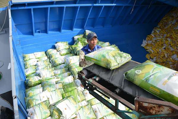 Cần thiết thành lập Sàn giao dịch gạo tiêu chuẩn Việt Nam