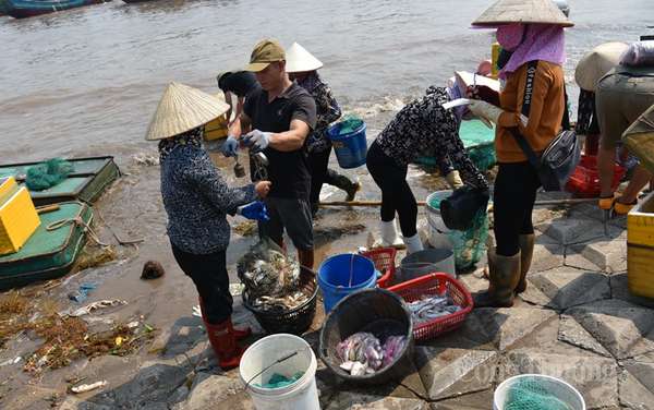 Chợ cá Giao Hải “tăng nhiệt” những ngày đầu nghỉ lễ