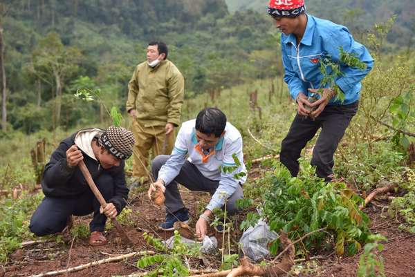 ABBANK thành công gây quỹ 50.000 cây gỗ lớn cho các gia đình khó khăn tại Quảng Bình