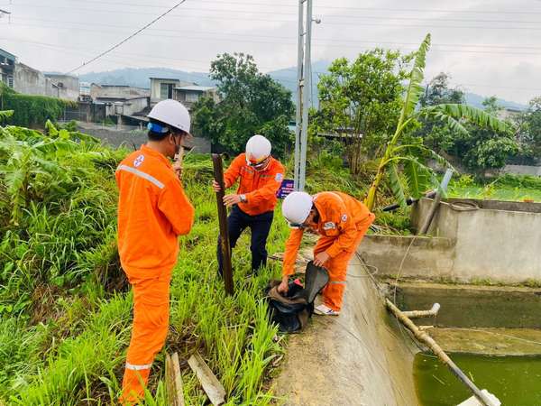 Lào Cai: Huy động lực lượng khắc phục thiệt hại lưới điện do giông lốc