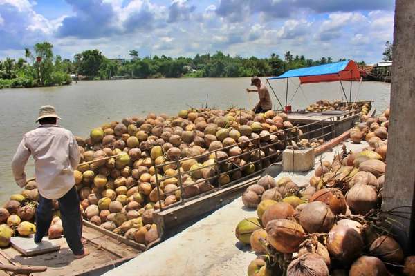 Tìm kiếm đối tác, đẩy mạnh xuất khẩu sản phẩm dừa Việt Nam sang Philippines