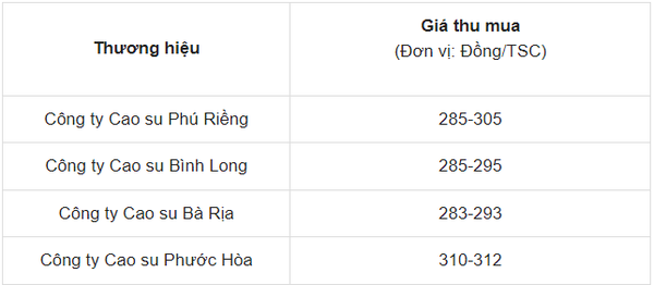 Giá cao su hôm nay 19/5/2024: Giá cao su thế giới tăng sốc, giá cao su trong nước 