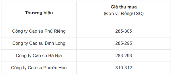 Dự báo giá cao su ngày 20/5/2024: Bước vào chu kỳ tăng giá mới?