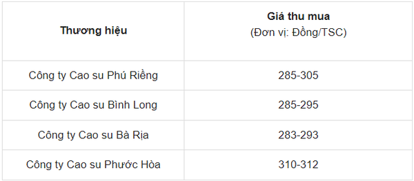 Giá cao su hôm nay 20/5/2024: Giá cao su thế giới tăng 'sốc', vượt mức 2%