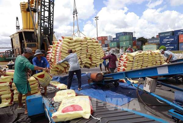 Xuất khẩu gạo sang Singapore: Chú trọng chất lượng, đẩy mạnh xúc tiến thương mại