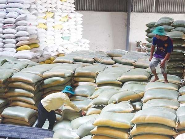 Tìm người mua hơn 2,3 nghìn tấn gạo của Cục Dự trữ Nhà nước khu vực Thanh Hóa