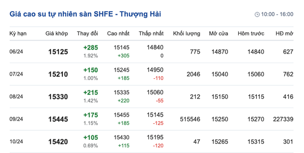 Dự báo giá cao su ngày 30/5/2024: Tăng chóng mặt?