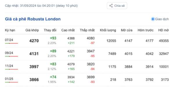Giá cà phê hôm nay, 31/5/2024: Giá cà phê trong nước giữ đà tăng cao
