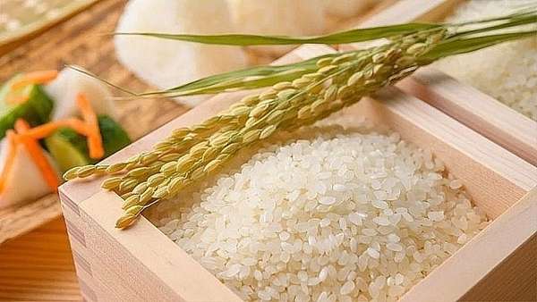 Giá lúa gạo hôm nay 5/6/2024: Giá gạo trong nước tăng