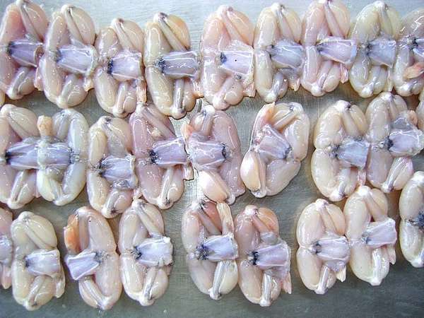 4 tháng: Xuất khẩu thịt ếch đông lạnh tăng 220,4% về lượng