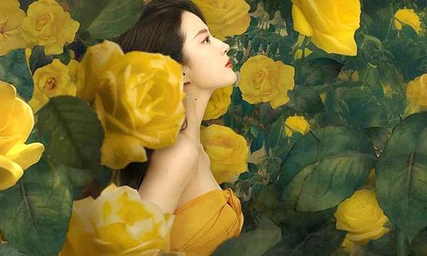 Tin sao 12/6: Phim mới của Lưu Diệc Phi tạo trend mua hoa hồng vàng
