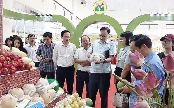 Các đại biểu đi thăm quan gian hàng nông sản, đặc sản của Hà Nội