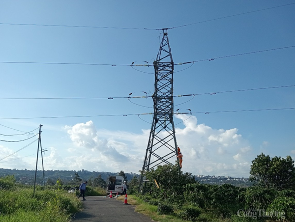 Lâm Đồng: Tổ chức diễn tập ứng phó thiện hại do thiên tai gây ra đối với hệ thống lưới điện