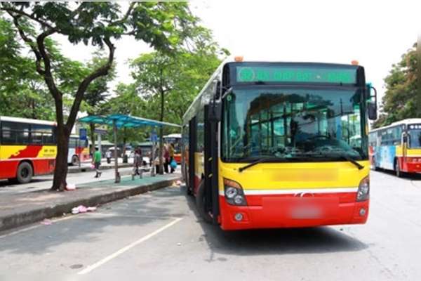 Transerco đấu giá 15 xe buýt, giá khởi điểm 2,215 tỷ đồng