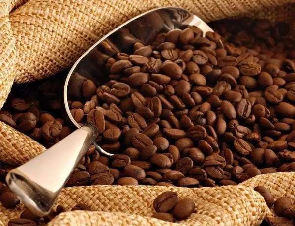 Dự báo giá cà phê ngày 5/7/2024: Quay đầu giảm sốc?