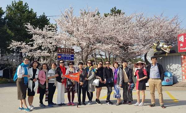 Nhật Bản xúc tiến, quảng bá du lịch tại Việt Nam