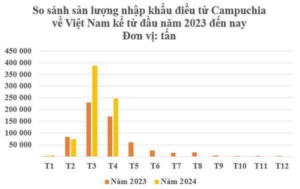 Việt Nam tăng nhập khẩu hạt điều từ thị trường Campuchia