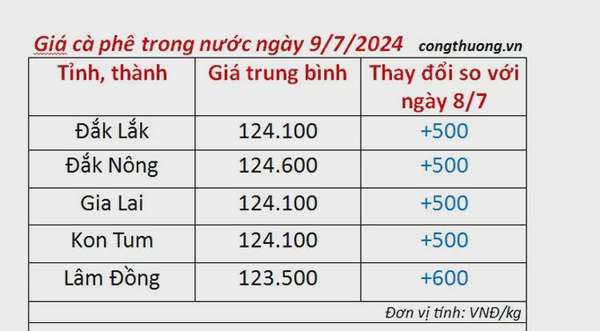 Giá cà phê hôm nay 9/7/2024: Giá cà phê trong nước tiếp tục tăng nhẹ