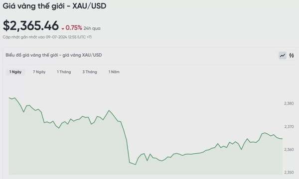 Biểu đồ biến động giá vàng trong 24 giờ qua