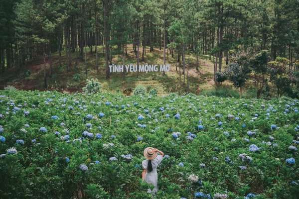 Thung lũng Tình yêu có gần 60 tiểu cảnh cho du khách check in và những vườn hoa nở bốn mùa.