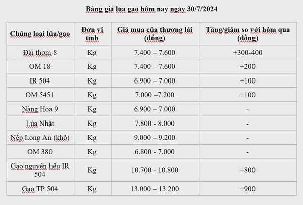 Giá lúa gạo hôm nay ngày 30/7: Giá lúa tăng 100-300 đồng/kg;