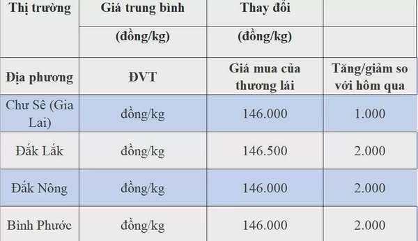 Giá tiêu hôm nay 3/8/2024: Tiếp đà giảm mạnh, Đắk Lắk chạm đỉnh 146.500 đồng/kg