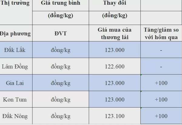 Giá cà phê hôm nay 4/8/2024: Trong nước tăng nhẹ,