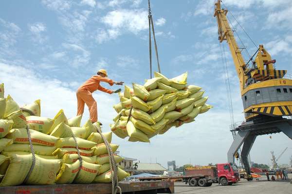 Vì sao xuất khẩu gạo giảm mạnh trong tháng đầu năm?