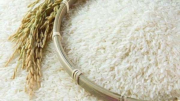 Giá gạo xuất khẩu - Một tuần biến động mạnh