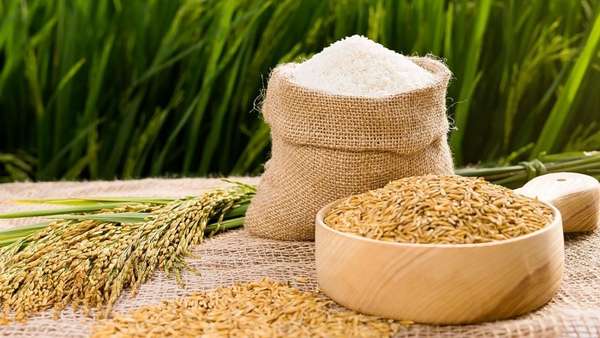 Giá lúa gạo hôm nay ngày 28/1 và tổng kết tuần qua: Giá giảm mạnh, nhiều kho ngưng mua