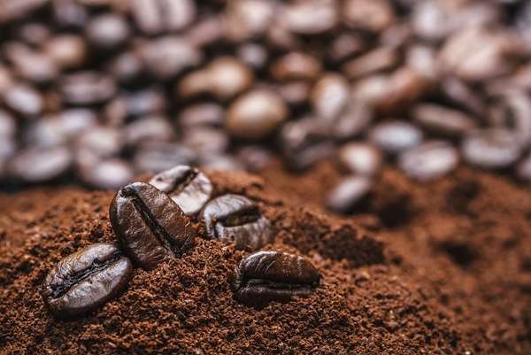Tháng 1/2023, xuất khẩu cà phê giảm 38,1%