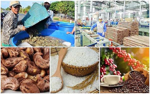 Tăng lòng tin của các nhà bán lẻ EU với nông sản Việt