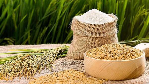Giá gạo xuất khẩu tăng cao do đâu?