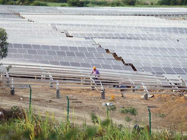 Việt Nam đón dòng giao dịch mạnh mẽ về năng lượng tái tạo