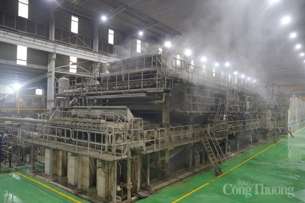 Giải pháp nâng cao hiệu quả xử lý nước thải nhà máy sản xuất giấy bao bì