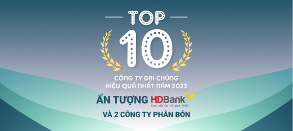 Top 10 công ty đại chúng hiệu quả nhất năm 2023: Ấn tượng HDBank, Đạm Phú Mỹ và Hóa dầu Đức Giang