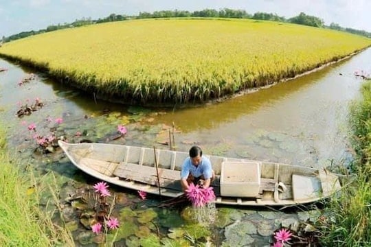 ‏Nguồn “vốn xanh” thúc đẩy nông nghiệp bền vững‏