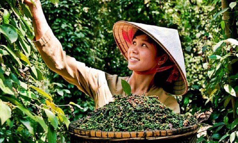 Ảnh bài viết