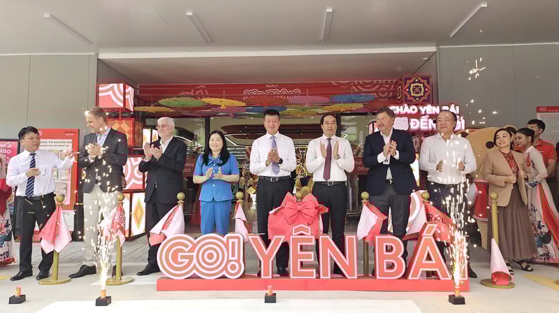 Ảnh bài viết