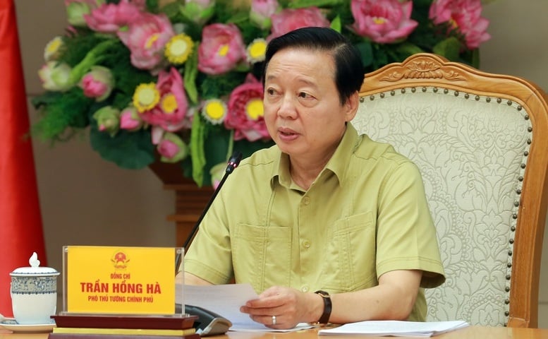 Ảnh bài viết