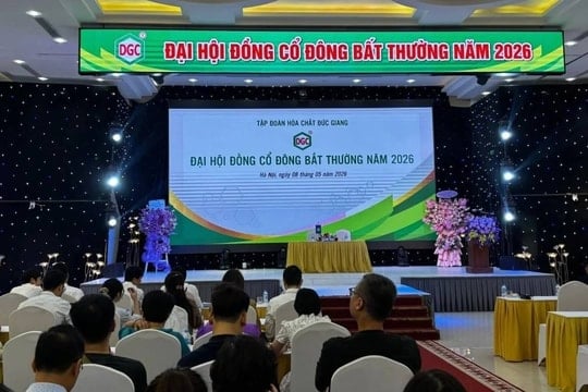 Chuyên gia nói gì về cơ cấu HĐQT mới của Hóa chất Đức Giang?