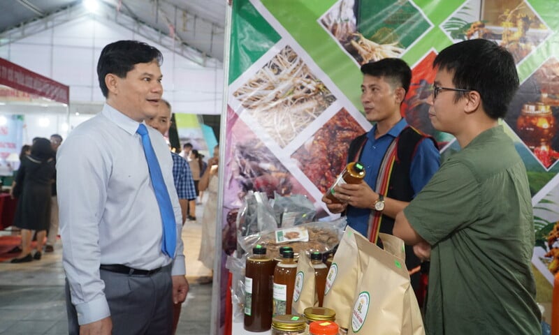 Ảnh bài viết