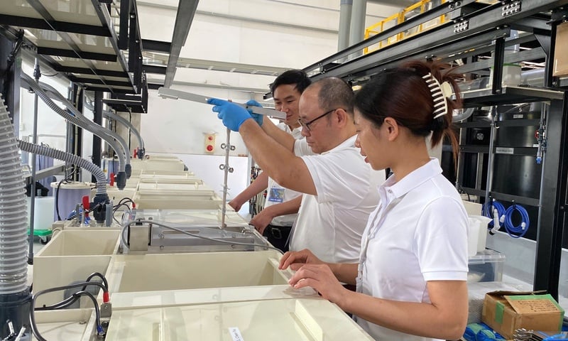 Công nghiệp hỗ trợ Hà Nội trước ‘đề bài’ tăng trưởng hai con số