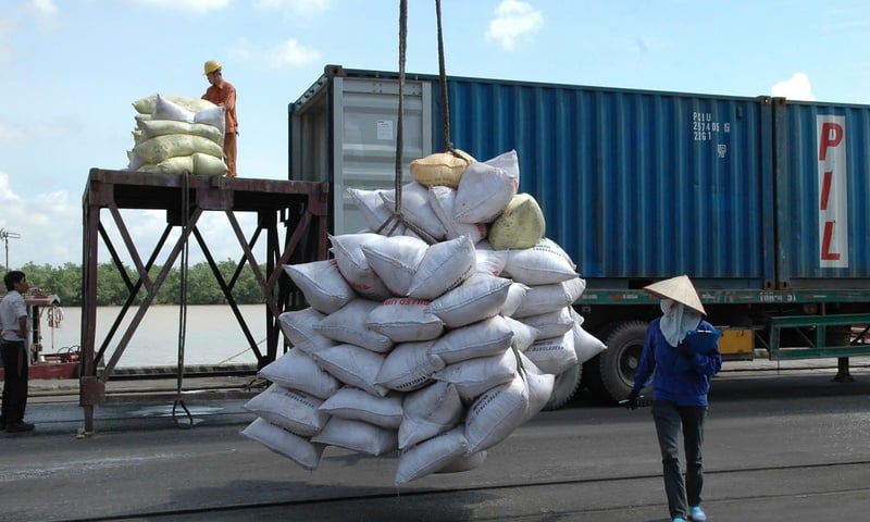 Cục Xuất nhập khẩu: Doanh nghiệp cần chủ động đa dạng thị trường gạo